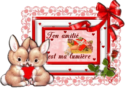 votre amitie est la lumiere de mon coeur